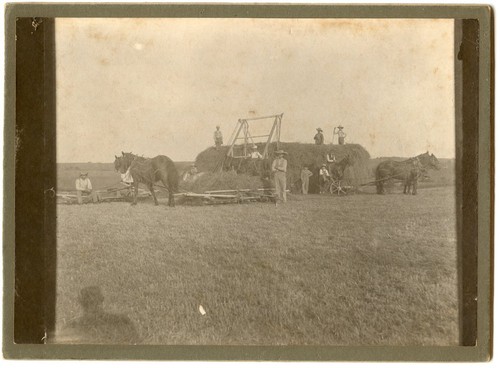 1880s 90s horse drawn - 1880s, sickle