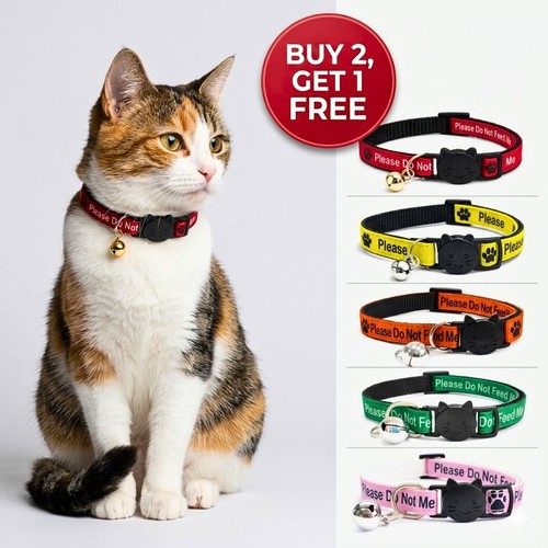 Kitten collar with - kitten,