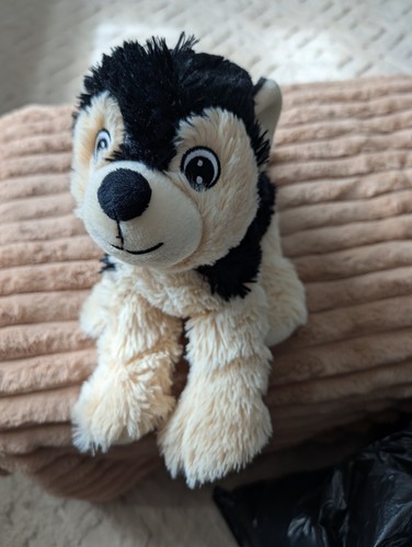 Cute plush black tan - black, husky