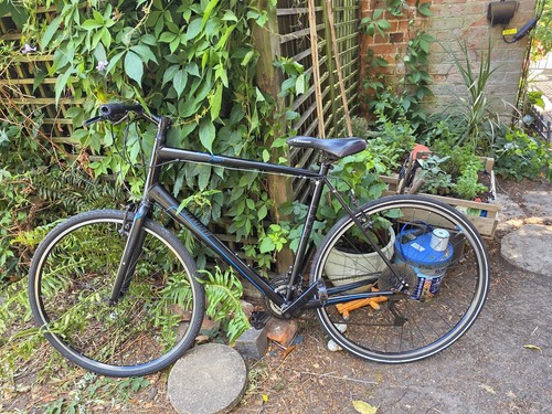Mens specialized sirrus sport - mens,