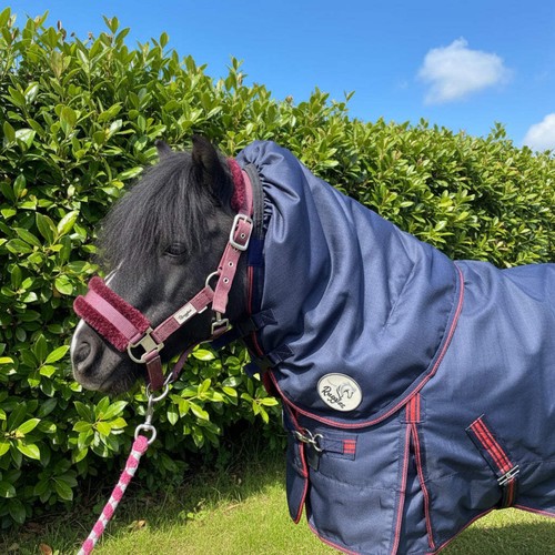 Ruggles turnout neck cover - ruggles,