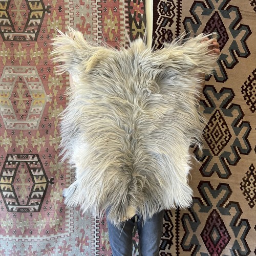 Natural angora goat skin rug - angora,