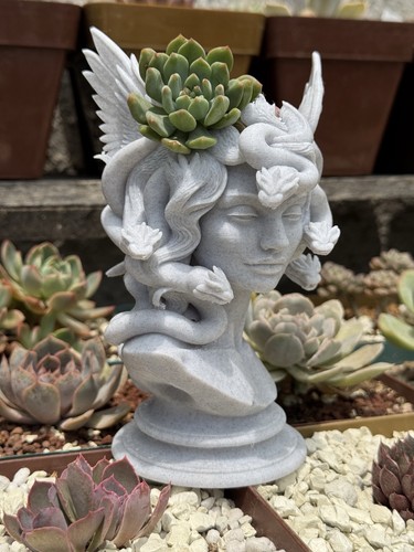Printed medusa bust statue - medusa,