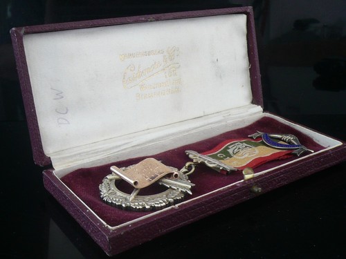 Cased raob jewel 9ct gold - cased,