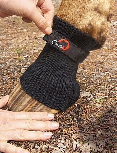 Cavallo comfort sleeve wraps - comfort,