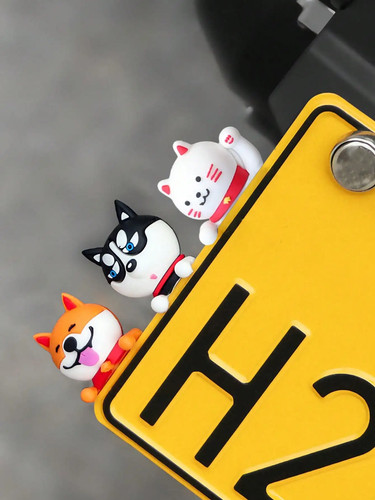 Cute husky dog - husky, car