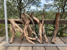 Natural Manzanita Driftwood Aquarium Scapes Reptiles Mounts Crafts Perches 8 Pcs