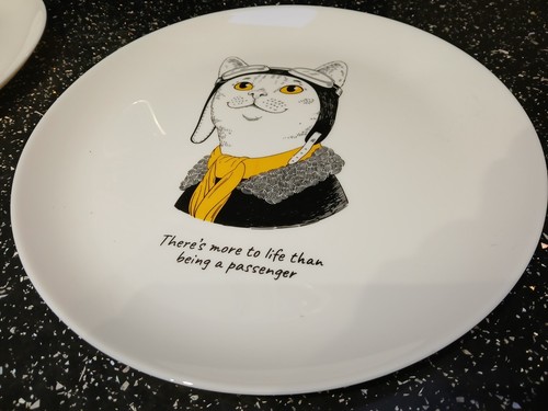 Arcopal aviator plate - aviator, quirky