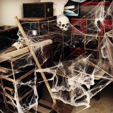 Halloween Spider Web with