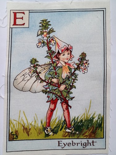 Eyebright alphabet - -,