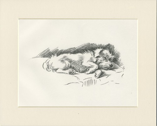 Jack russell terrier vintage - terrier,