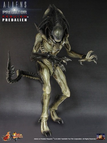 Ultra rare sideshow - sideshow, predalien