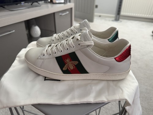 Gucci ace 7 - gucci,