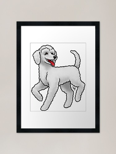 Dog standard poodle puppy - standard,