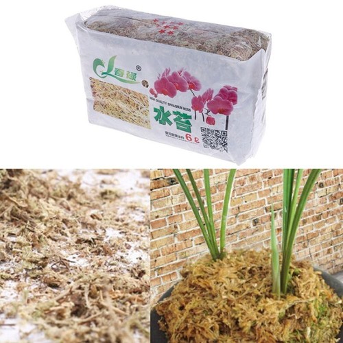 12l dried sphagnum moss - dried,