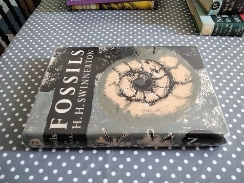 Fossils swinnerton new - fossils, by