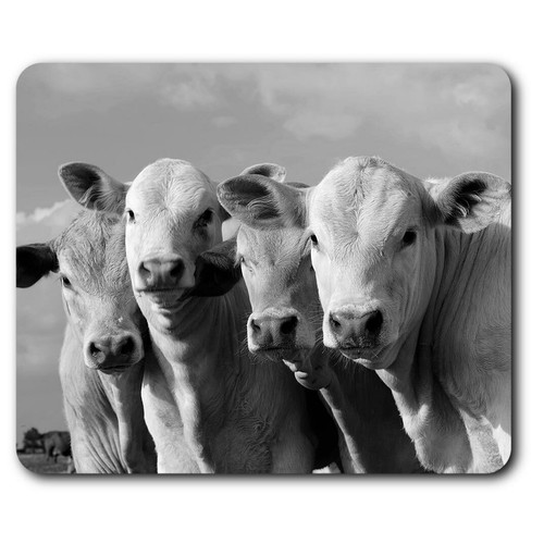 Rectangle mouse mat cows - mouse,