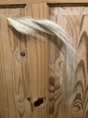 Blonde natural horse - hair, mane