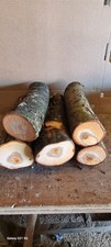 Plum Wood Logs Woodturning