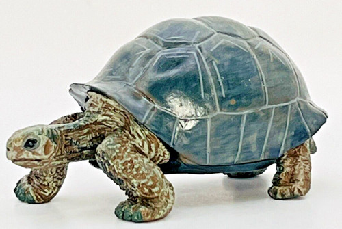Aldabra giant tortoise - aldabra,