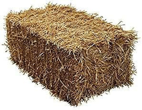Wheat straw full bale 18kg - wheat,