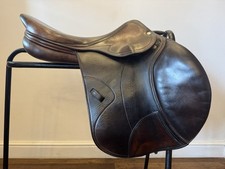 17 1/2” Amerigo Pinerolo