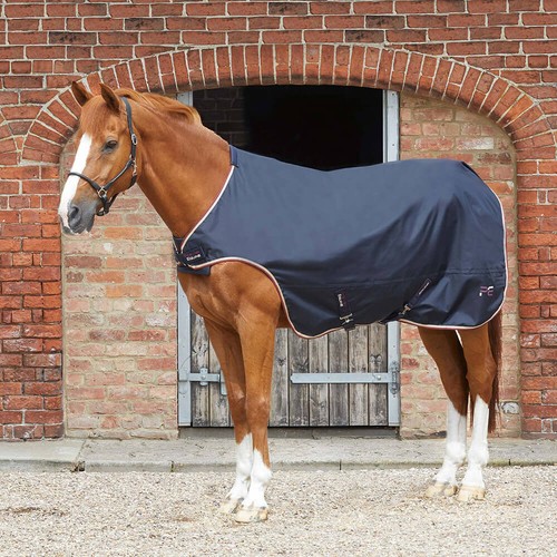 Premier equine horse walker - premier,