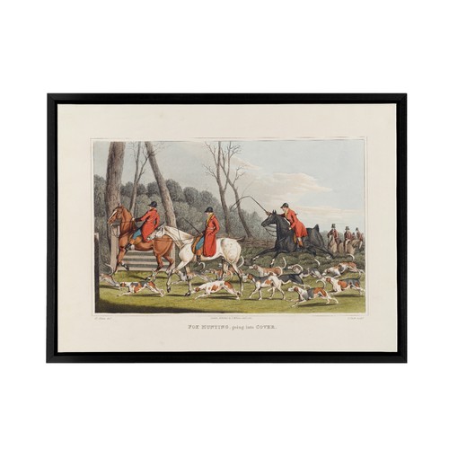 Fox hunting into cover - into,