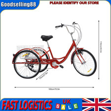 Adult 24" Tricycle Bike