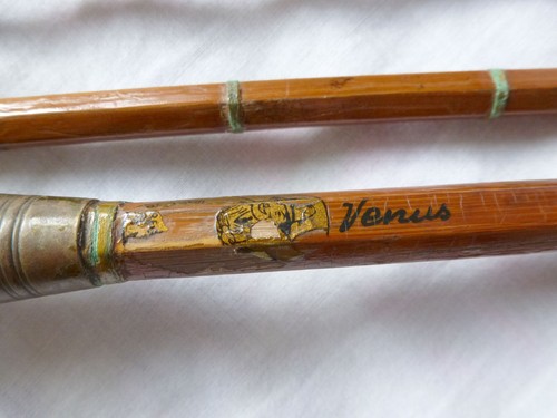 Vintage venus split - vintage, cane