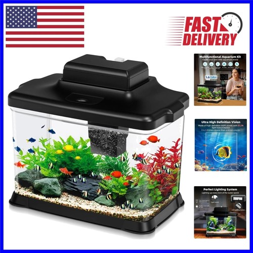 Stylish gallon aquarium - 1.6,