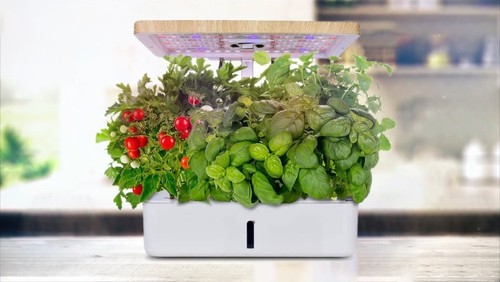 Moistenland hydroponics - moistenland,