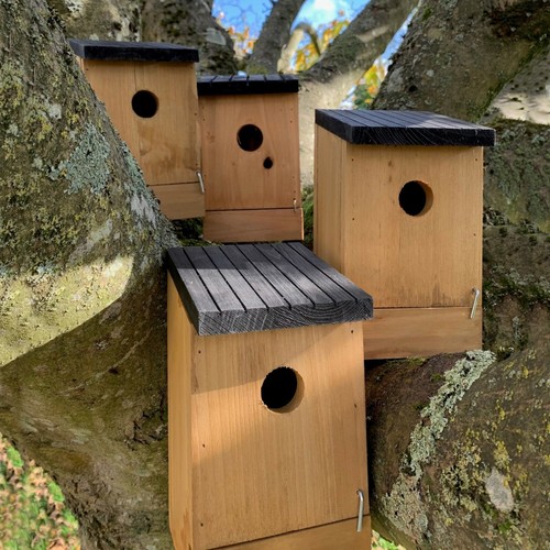 Wooden birdhouse box - wooden, nesters
