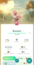 Shiny buneary flower crown - flower,