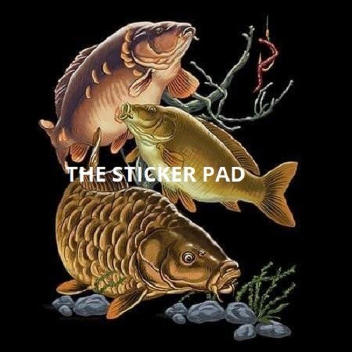 Vinyl sticker carp - vinyl,
