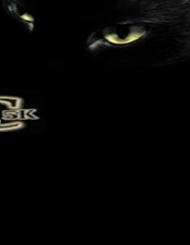 Scrap Catalytic Converter Guide: Code 5K by G, O. [Paperback]