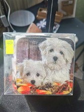 Cup & Coaster Set With Print Of 2 Westie Pups With Autumn Leaves