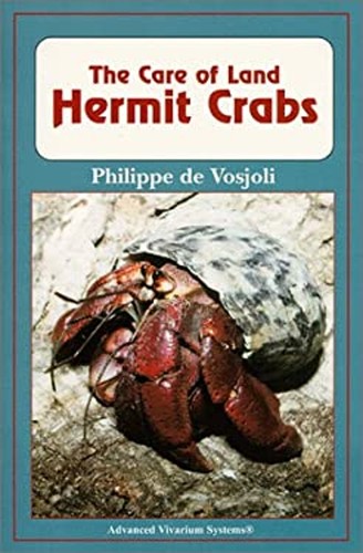 The care land - hermit, crabs