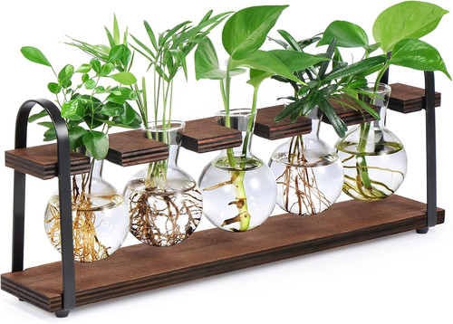 Plant propagation station - plant,