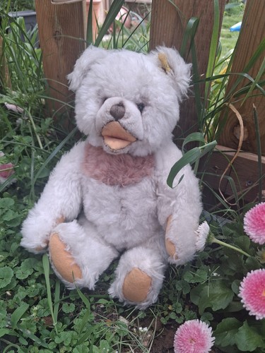 Steiff rare white zotty bear - steiff,