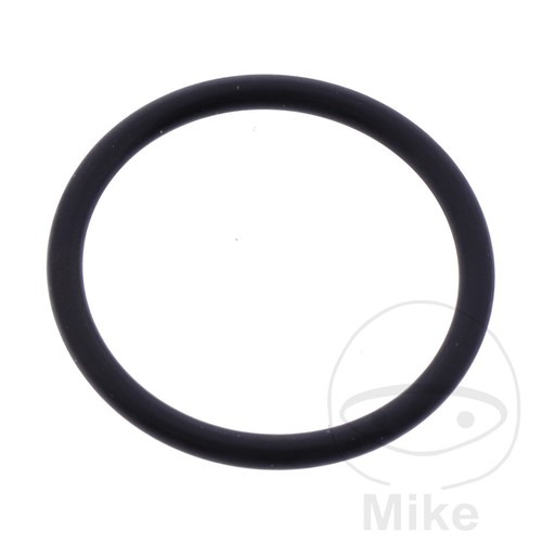 Athena ring seal - 20.5, x