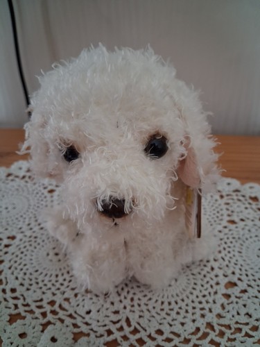 Living nature labradoodle - living,