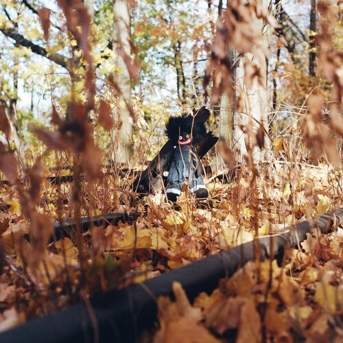 Billy woods golliwog new - billy,