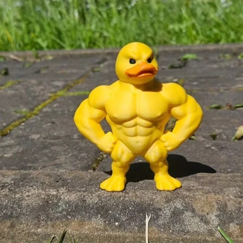 Muscle duck statue funny - muscle, 3d