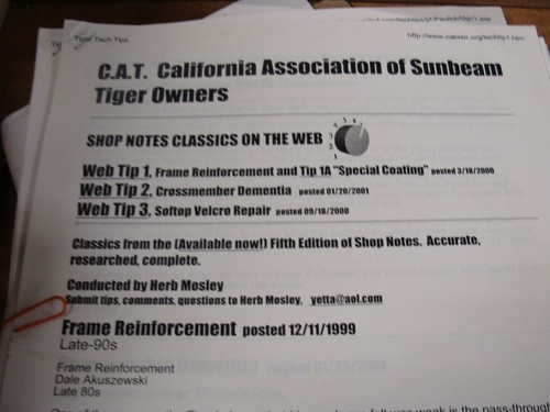 Cat sunbeam tiger - sunbeam, shop
