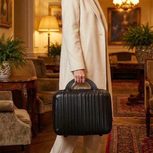 Large hand luggage - luggage, case