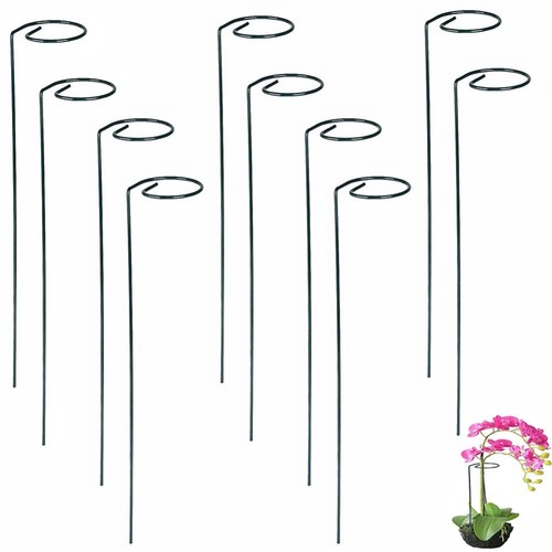 40cm spiral plant - spiral, support