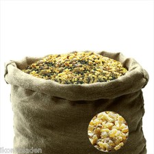 Oman Pure Incense Boswellia Sacra Dhofar (Sultanate of Oman) Church Quality