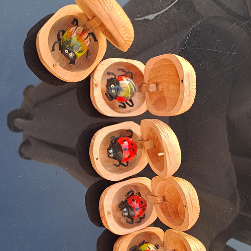 Wooden hand painted ladybird - painted,