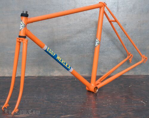 Vintage eddy merckx - eddy, molteni